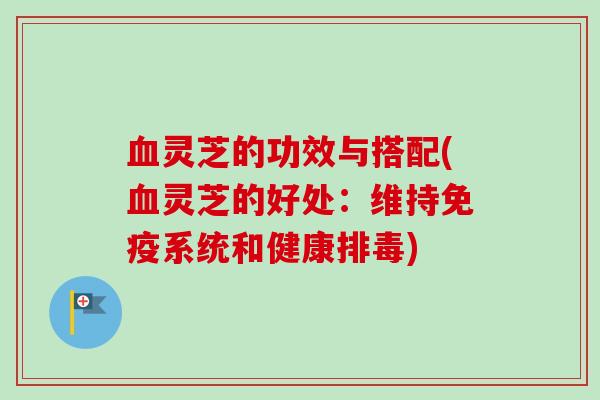 血灵芝的功效与搭配(血灵芝的好处：维持免疫系统和健康排毒)