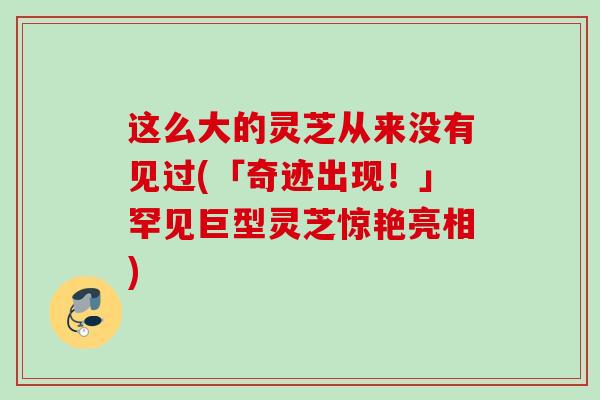 这么大的灵芝从来没有见过(「奇迹出现！」罕见巨型灵芝惊艳亮相)