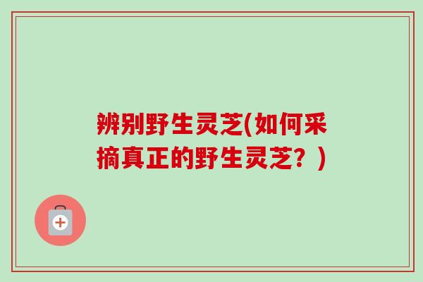 辨别野生灵芝(如何采摘真正的野生灵芝？)