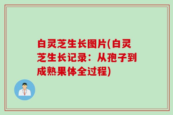 白灵芝生长图片(白灵芝生长记录：从孢子到成熟果体全过程)