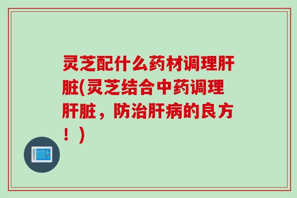 灵芝配什么药材调理肝脏(灵芝结合中药调理肝脏，防治肝病的良方！)