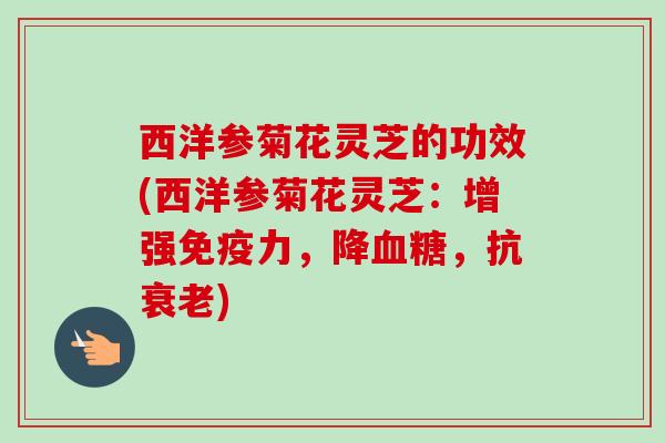 西洋参菊花灵芝的功效(西洋参菊花灵芝：增强免疫力，降血糖，抗衰老)