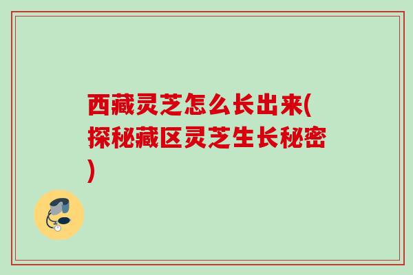 西藏灵芝怎么长出来(探秘藏区灵芝生长秘密)