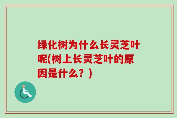 绿化树为什么长灵芝叶呢(树上长灵芝叶的原因是什么？)