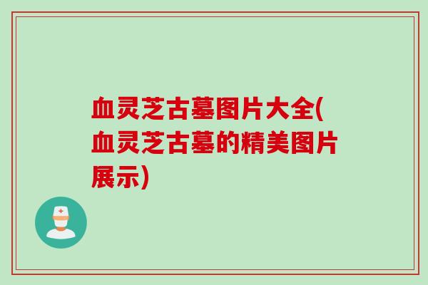 血灵芝古墓图片大全(血灵芝古墓的精美图片展示)