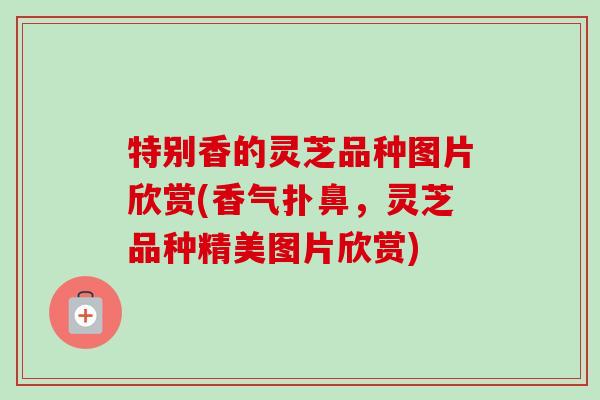 特别香的灵芝品种图片欣赏(香气扑鼻，灵芝品种精美图片欣赏)