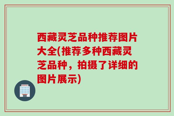 西藏灵芝品种推荐图片大全(推荐多种西藏灵芝品种,拍摄了详细的图片展示) 西藏灵芝品种推荐图片大全(推荐多种西藏灵芝品种,拍摄了详细的图片展示)