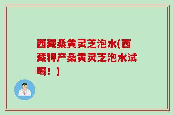 西藏桑黄灵芝泡水(西藏特产桑黄灵芝泡水试喝!) 西藏桑黄灵芝泡水(西藏特产桑黄灵芝泡水试喝!)