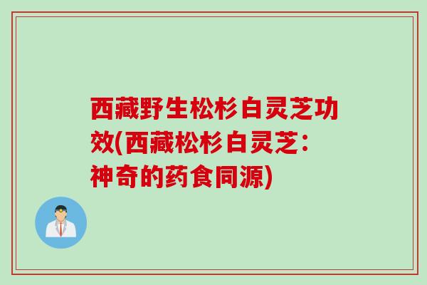 西藏野生松杉白灵芝功效(西藏松杉白灵芝:神奇的药食同源) 西藏野生松杉白灵芝功效(西藏松杉白灵芝:神奇的药食同源)