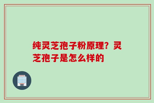 纯灵芝孢子粉原理？灵芝孢子是怎么样的