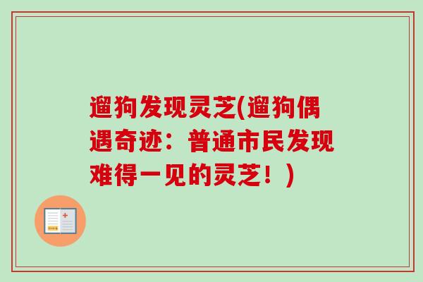 遛狗发现灵芝(遛狗偶遇奇迹：普通市民发现难得一见的灵芝！)