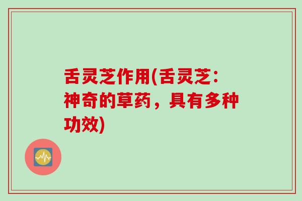 舌灵芝作用(舌灵芝:神奇的草药,具有多种功效) 舌灵芝作用(舌灵芝:神奇的草药,具有多种功效)
