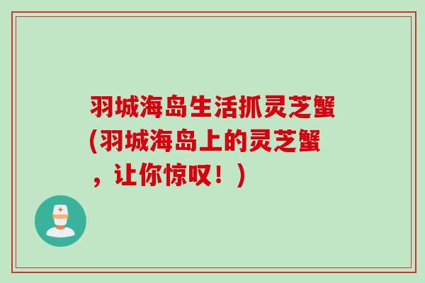 羽城海岛生活抓灵芝蟹(羽城海岛上的灵芝蟹,让你惊叹!) 羽城海岛生活抓灵芝蟹(羽城海岛上的灵芝蟹,让你惊叹!)