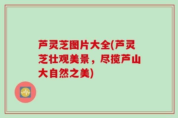 芦灵芝图片大全(芦灵芝壮观美景,尽揽芦山大自然之美) 芦灵芝图片大全(芦灵芝壮观美景,尽揽芦山大自然之美)