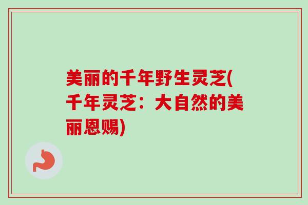美丽的千年野生灵芝(千年灵芝:大自然的美丽恩赐) 美丽的千年野生灵芝(千年灵芝:大自然的美丽恩赐)