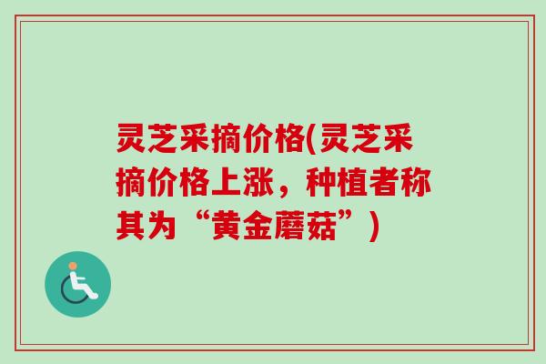 灵芝采摘价格(灵芝采摘价格上涨,种植者称其为“黄金蘑菇”) 灵芝采摘价格(灵芝采摘价格上涨,种植者称其为“黄金蘑菇”)