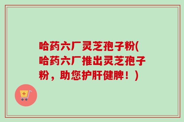哈药六厂灵芝孢子粉(哈药六厂推出灵芝孢子粉，助您护肝健脾！)