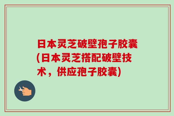 日本灵芝破壁孢子胶囊(日本灵芝搭配破壁技术,供应孢子胶囊)