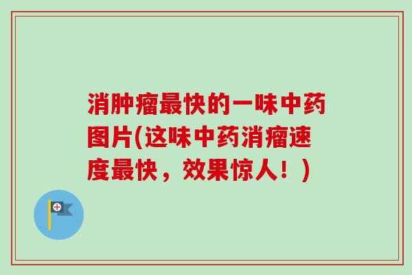 消肿瘤最快的一味中药图片(这味中药消瘤速度最快，效果惊人！)