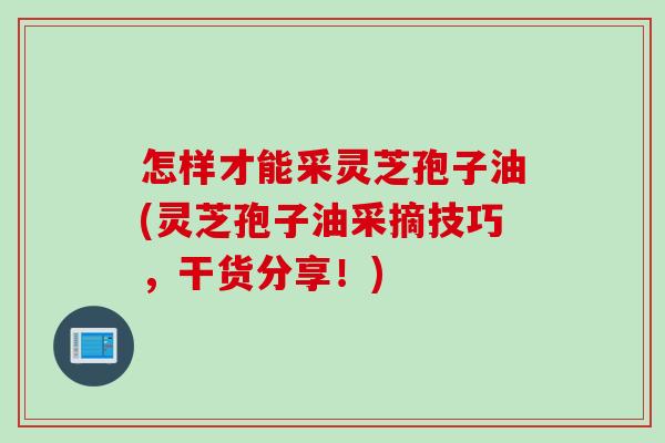 怎样才能采灵芝孢子油(灵芝孢子油采摘技巧，干货分享！)