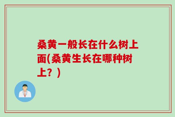 桑黄一般长在什么树上面(桑黄生长在哪种树上？)