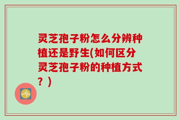 灵芝孢子粉怎么分辨种植还是野生(如何区分灵芝孢子粉的种植方式？)