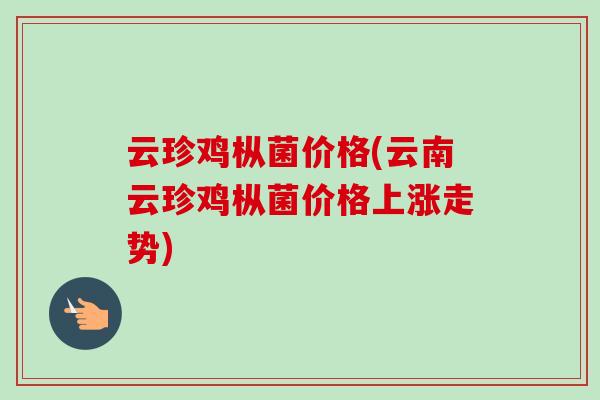 云珍鸡枞菌价格(云南云珍鸡枞菌价格上涨走势)
