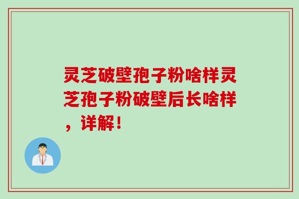 灵芝破壁孢子粉啥样灵芝孢子粉破壁后长啥样，详解！