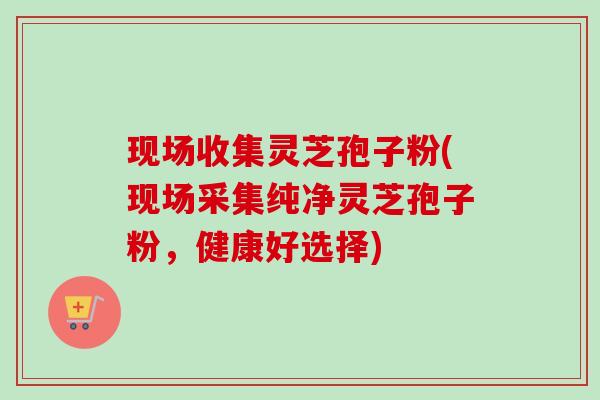 现场收集灵芝孢子粉(现场采集纯净灵芝孢子粉，健康好选择)