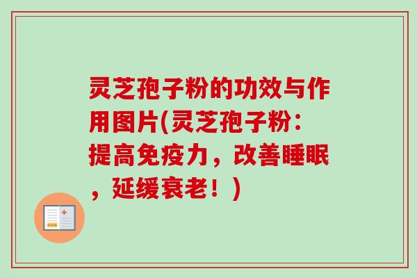 灵芝孢子粉的功效与作用图片(灵芝孢子粉：提高免疫力，改善睡眠，延缓衰老！)