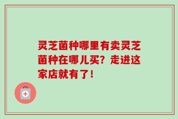 灵芝菌种哪里有卖灵芝菌种在哪儿买？走进这家店就有了！