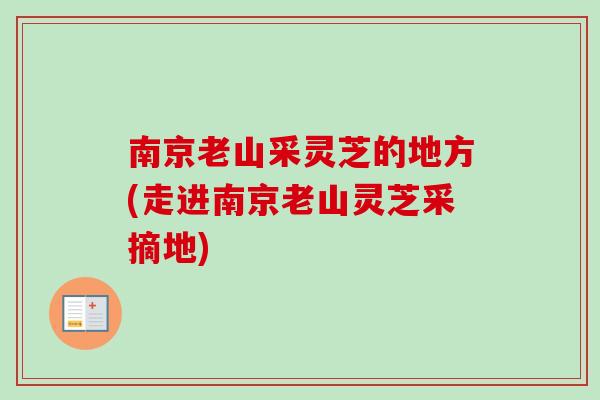 南京老山采灵芝的地方(走进南京老山灵芝采摘地)