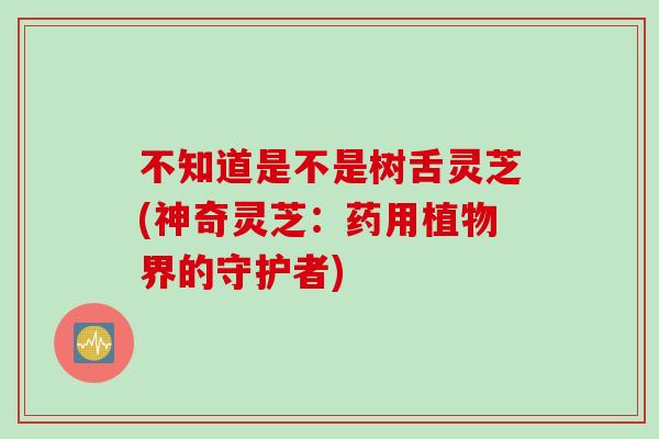 不知道是不是树舌灵芝(神奇灵芝：药用植物界的守护者)
