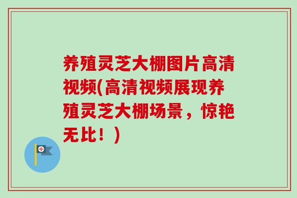 养殖灵芝大棚图片高清视频(高清视频展现养殖灵芝大棚场景，惊艳无比！)