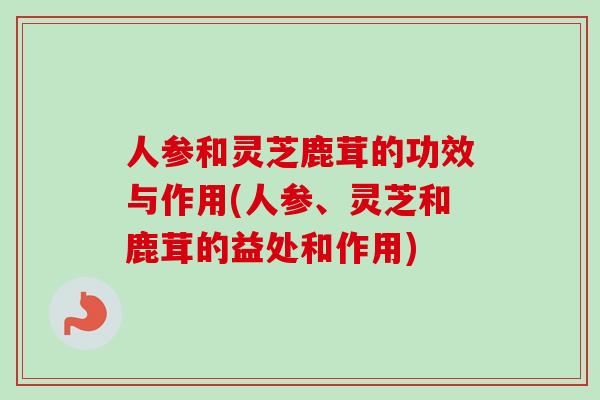 人参和灵芝鹿茸的功效与作用(人参、灵芝和鹿茸的益处和作用)