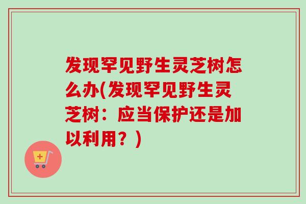 发现罕见野生灵芝树怎么办(发现罕见野生灵芝树：应当保护还是加以利用？)