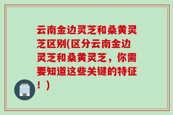 云南金边灵芝和桑黄灵芝区别(区分云南金边灵芝和桑黄灵芝，你需要知道这些关键的特征！)