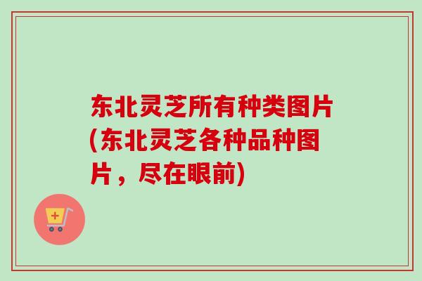 东北灵芝所有种类图片(东北灵芝各种品种图片，尽在眼前)