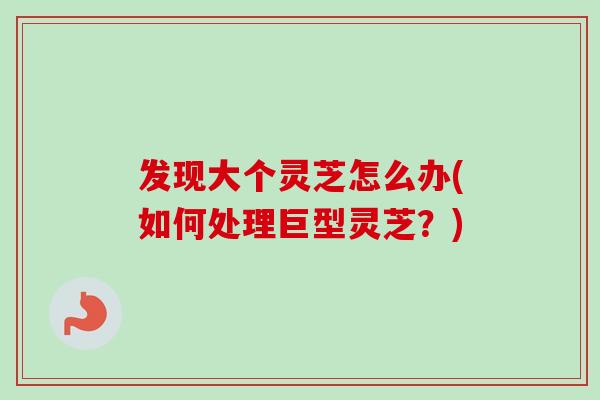 发现大个灵芝怎么办(如何处理巨型灵芝？)