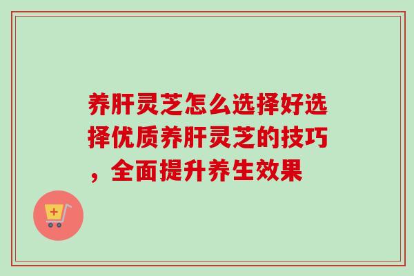 养灵芝怎么选择好选择优质养灵芝的技巧,全面提升养生效果 养灵芝怎么选择好选择优质养灵芝的技巧,全面提升养生效果