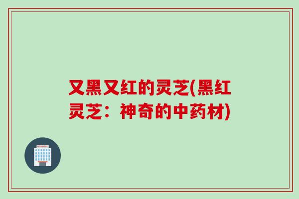 又黑又红的灵芝(黑红灵芝：神奇的中药材)