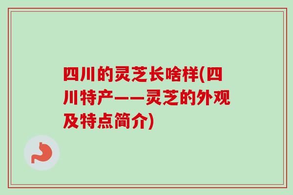 四川的灵芝长啥样(四川特产——灵芝的外观及特点简介)