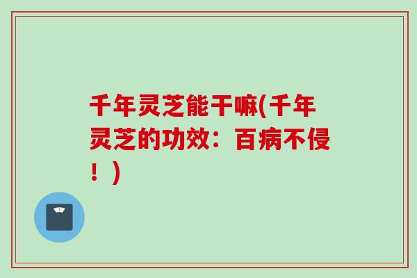 千年灵芝能干嘛(千年灵芝的功效:百不侵!) 千年灵芝能干嘛(千年灵芝的功效:百不侵!)