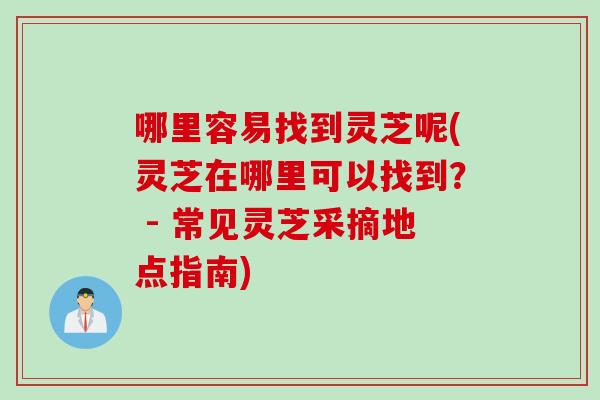 哪里容易找到灵芝呢(灵芝在哪里可以找到？ - 常见灵芝采摘地点指南)