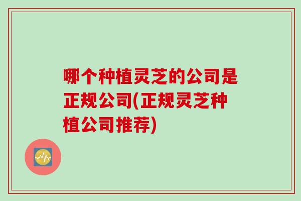哪个种植灵芝的公司是正规公司(正规灵芝种植公司推荐)
