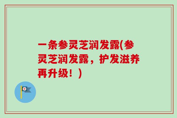 一条参灵芝润发露(参灵芝润发露，护发滋养再升级！)