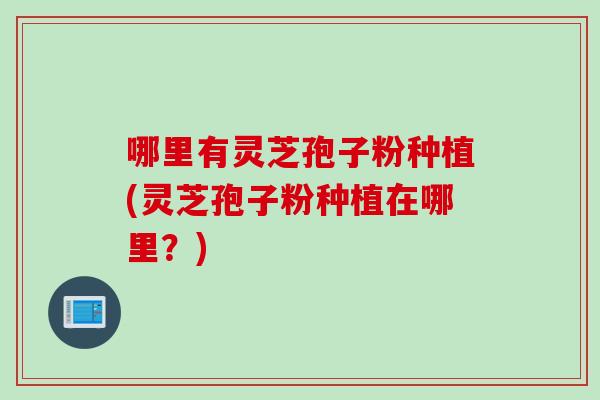 哪里有灵芝孢子粉种植(灵芝孢子粉种植在哪里？)