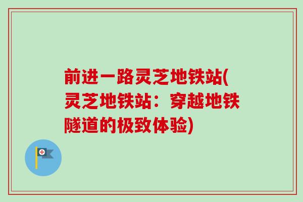 前进一路灵芝地铁站(灵芝地铁站：穿越地铁隧道的极致体验)