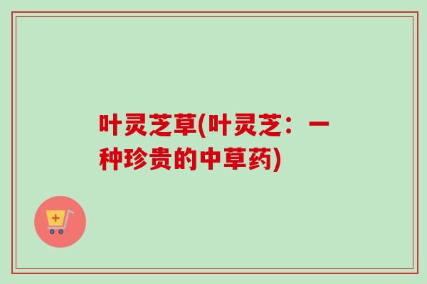 叶灵芝草(叶灵芝：一种珍贵的中草药)