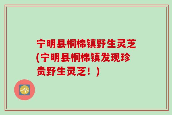 宁明县桐棉镇野生灵芝(宁明县桐棉镇发现珍贵野生灵芝！)